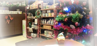 徳島 鳴門 歯磨き粉専門店HERB's  