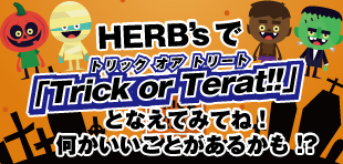 徳島 鳴門 歯磨き粉専門店HERB's  